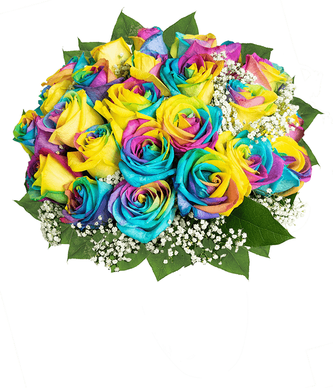 Partial image of Two Dozen Pride Roses without vase