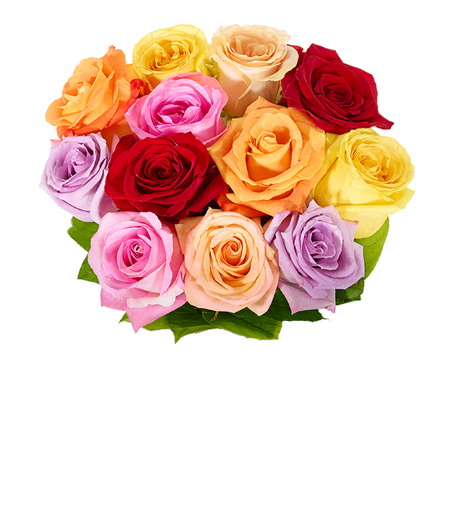 Partial image of One Dozen Love is Love Rainbow Roses without vase