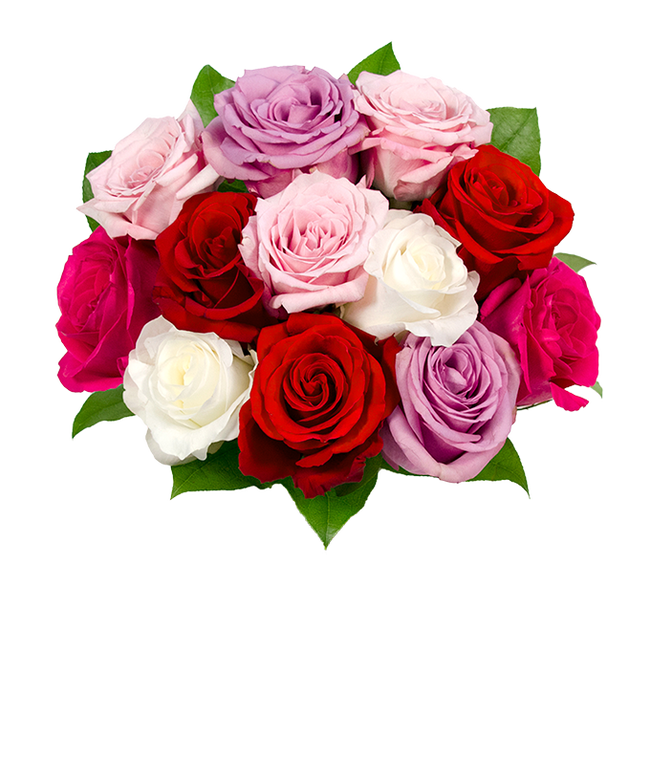 Partial image of One dozen pink, red, white and purple roses for Mother's Day gift without vase