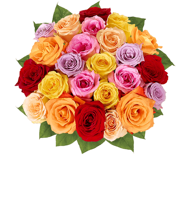 Partial image of Two Dozen Assorted Roses  without vase