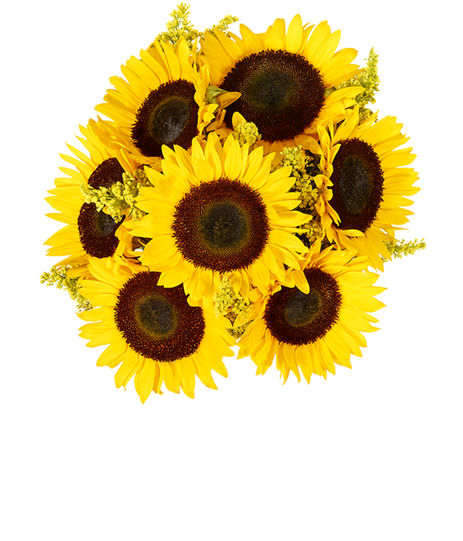 Partial image of A vibrant arrangement featuring yellow sunflowers and golden solidago, optionally presented in a vase. This bright and cheerful display brings a touch of sunshine and warmth to any occasion.  without vase