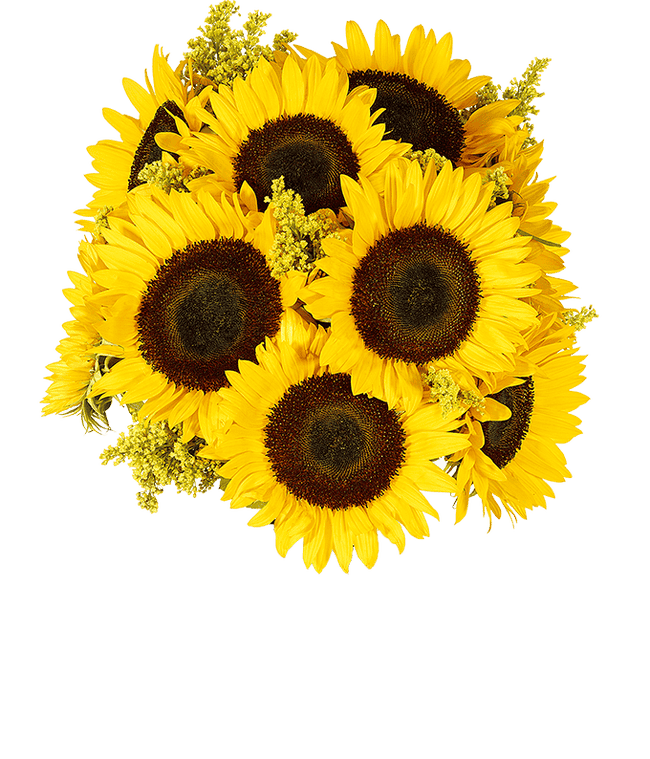 Partial image of Bouquet of vibrant sunflowers arranged in a clear glass vase. without vase