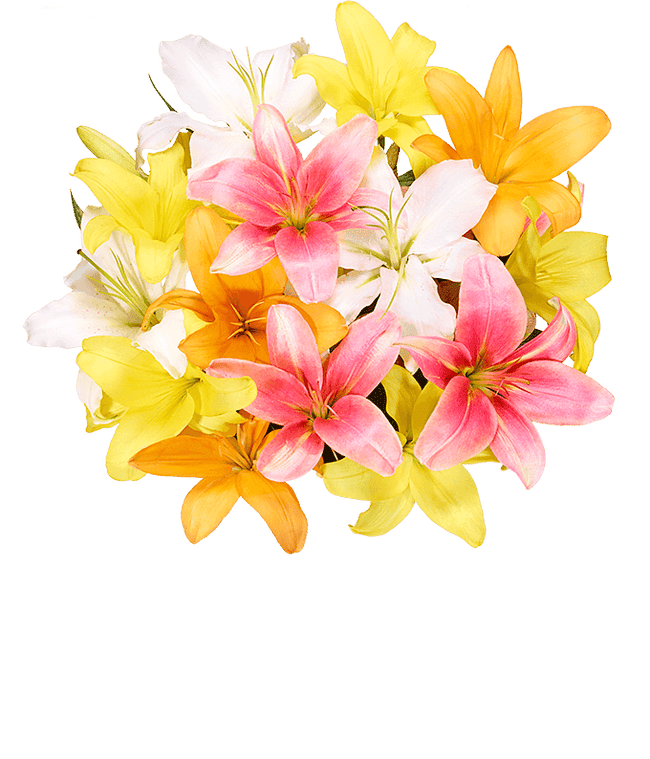 Partial image of A vibrant floral arrangement featuring pink lilies, orange lilies, and yellow lilies. without vase