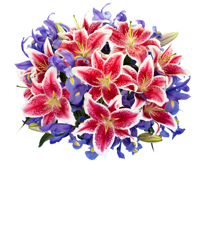 Partial image of A bouquet of Iris &amp; Stargazer Lilies in a Glass Vase without vase