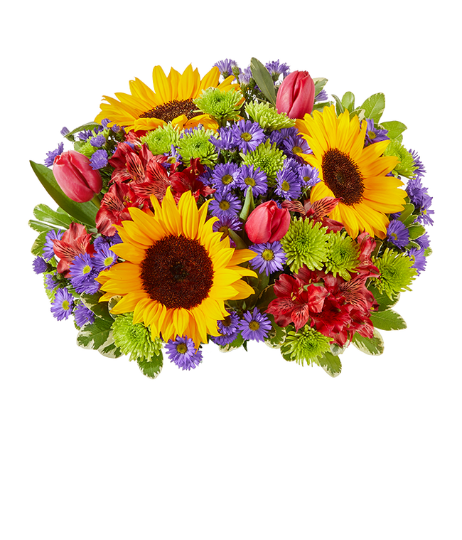 Partial image of A vibrant arrangement featuring sunflowers, pink tulips, red alstroemeria, purple Monte Casino asters, and green poms, optionally arranged in a glass vase. This lively mix offers a bright and cheerful display. without vase