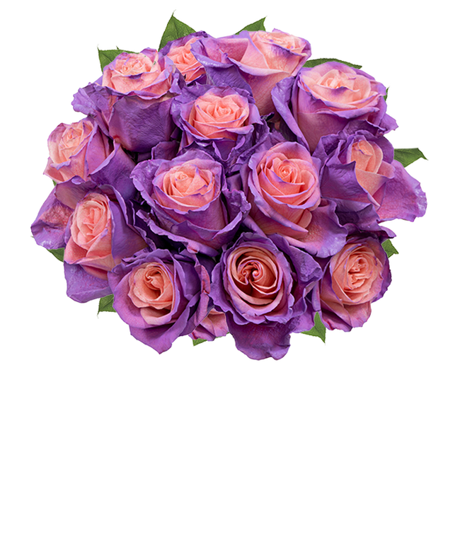 Partial image of One Dozen Blushing Lavender Roses without vase
