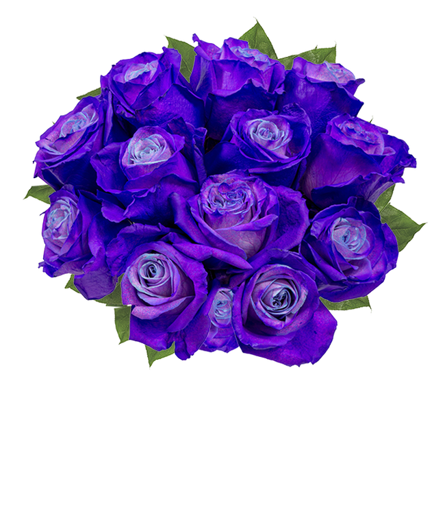 Partial image of One dozen deep purple dyed roses with optional clear vase. without vase