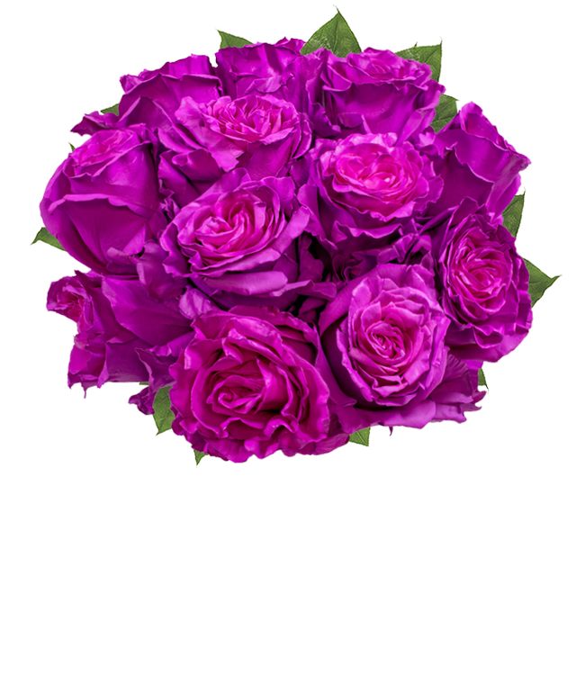 Partial image of One Dozen Magenta Roses without vase